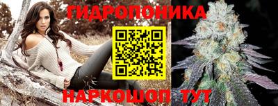 PSILOCYBIN Кандалакша