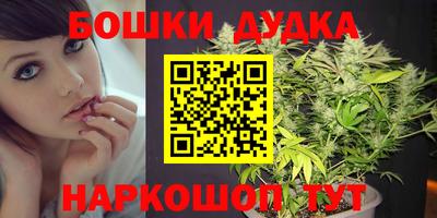 PSILOCYBIN Кандалакша