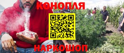 первитин Камышлов