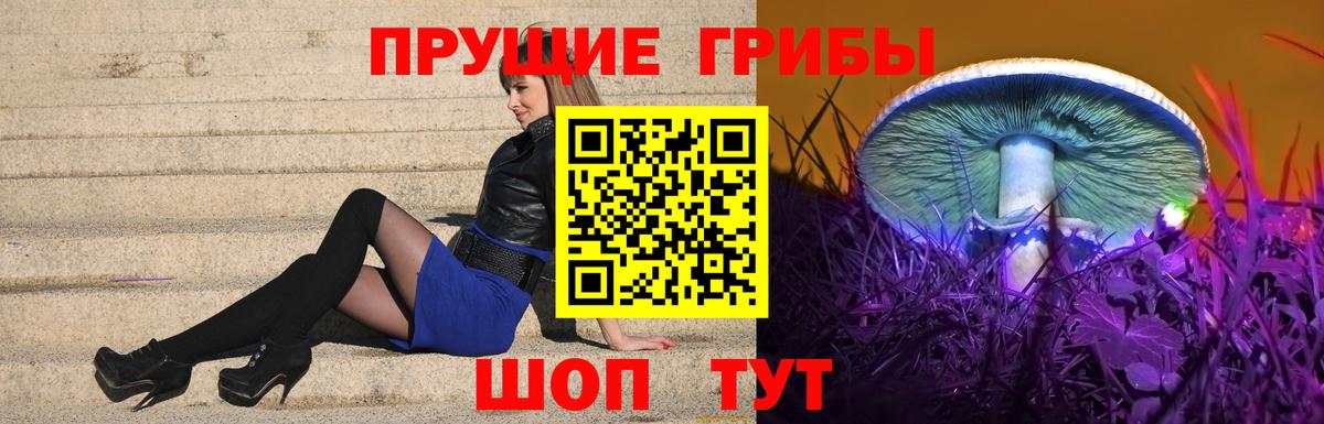 Галлюциногенные грибы ЛСД Торжок