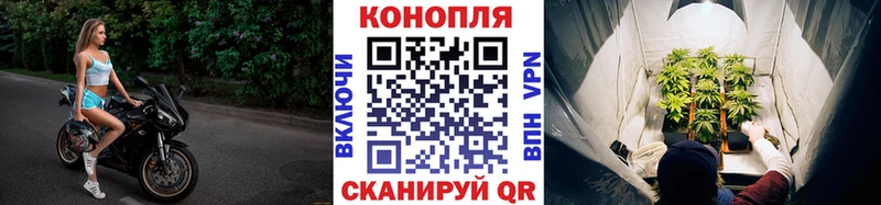 Шишки марихуана конопля  дарк нет клад  Торжок  наркота 