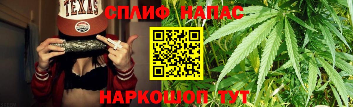 Каннабис OG Kush Торжок
